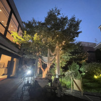 夜は一気に雰囲気が変わり、幻想的になります