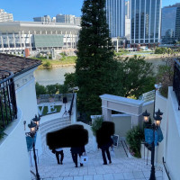 天気にも恵まれ、とても良い雰囲気でした