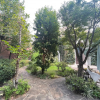 緑と自然光が心地よい空間を作り上げてました