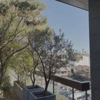 緑が多くナチュラルな雰囲気でした。