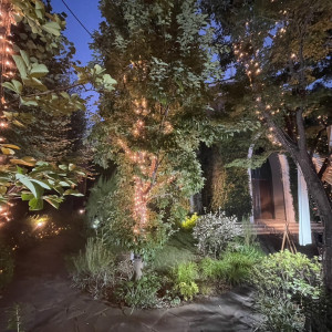 夜は一気に雰囲気が変わり、幻想的になります|776142さんの南青山サンタキアラ教会の写真(2564822)