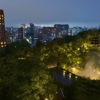 夜の庭園。全ての会場からこの庭がみえる、自然豊かな会場です。