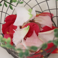 フラワーシャワーのお花