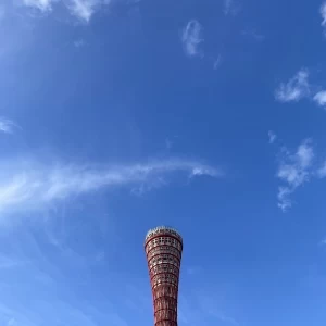 挙式会場から出るとすぐに
ポートタワーが目の前でした。|776292さんのノートルダム神戸/FIVESTAR WEDDINGの写真(2564002)