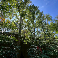 中庭？がとても素敵でした。