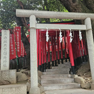 神社内に赤い鳥居があるのでカメラ映えします