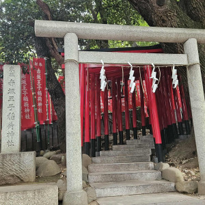 神社内に赤い鳥居があるのでカメラ映えします|776440さんの乃木神社・乃木會館の写真(2565087)