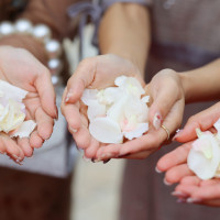 フラワーシャワー