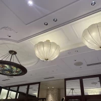 ステンドグラスとお花のような電気