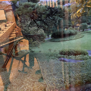 壺中庵からの庭園|776666さんの八芳園の写真(2566791)