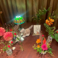 ウェルカムスペース