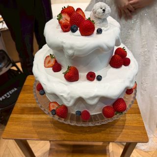 Central Terrace TOKYO（セントラル テラス トーキョー）のクチコミ 料理・ケーキの写真（1枚目）
