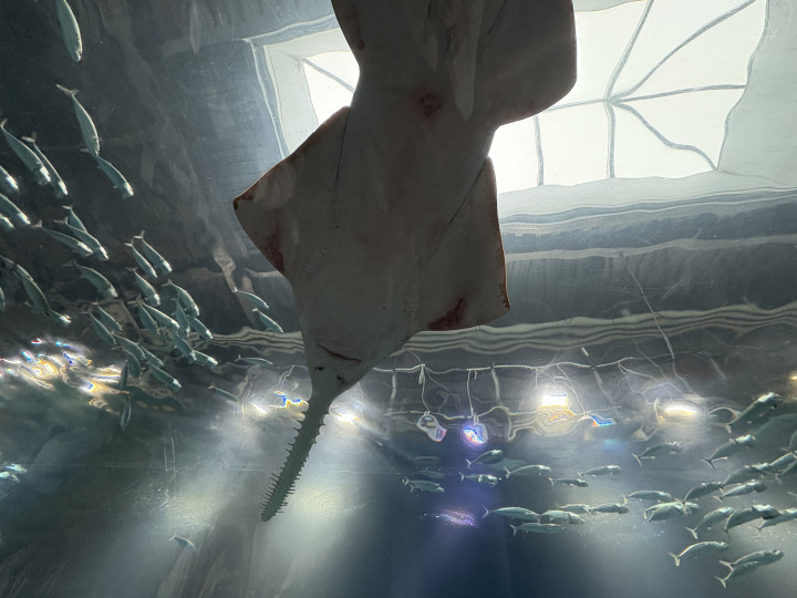 クチコミ導線画像2073611