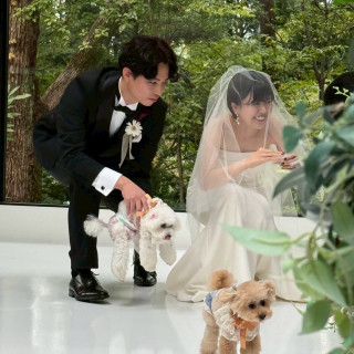 念願のリングドッグが叶いました…♡