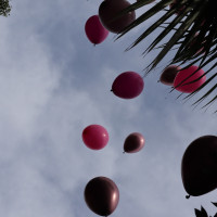 ドロップ&フライ