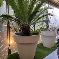 挙式場までの道中