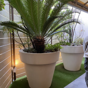 挙式場までの道中|777135さんのThe Palm Garden(ザ・パームガーデン) 〈エルフラットグループ〉の写真(2568762)