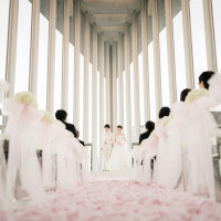 ピンクの花びらじゅうたん