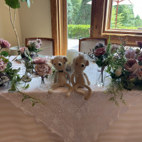 アットホームな高砂です！