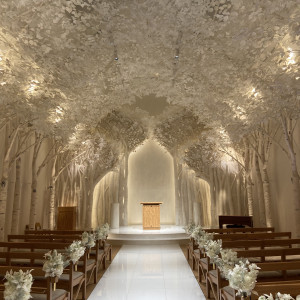 明るい状態|777242さんのトリフォーリアNAGOYA(エルフラットグループ)の写真(2569475)