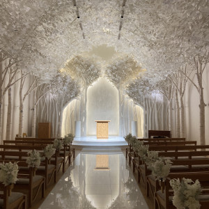 照明暗くしたバージョン|777242さんのトリフォーリアNAGOYA(エルフラットグループ)の写真(2569476)