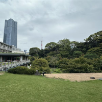 ガーデンから見える景色