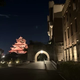 19時半ごろ終わるコースであれば、ライトアップされた大阪城と