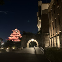 19時半ごろ終わるコースであれば、ライトアップされた大阪城と