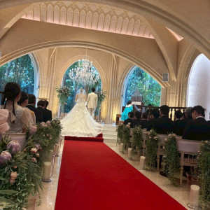 レッドカーペット|777374さんのアルタビスタガーデンの写真(2570040)