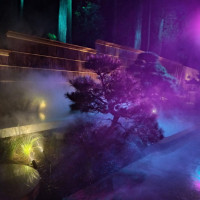 ライトアップされるお庭