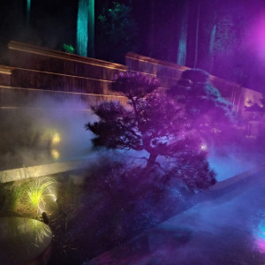 ライトアップされるお庭|777422さんの青龍荘の写真(2572536)