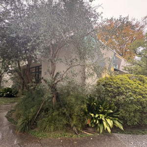 見学者入口|777454さんのザ・ガーデンオリエンタル・大阪の写真(2575411)