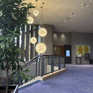 よく見たら菊の形で構成されたおしゃれな照明