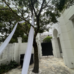 庭の木|777529さんの白金迎賓館 アートグレイスクラブの写真(2571281)