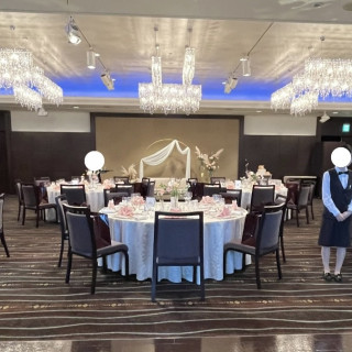 コスモス会場の写真です