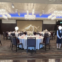 コスモス会場の写真です