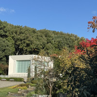 紅葉も見える外観