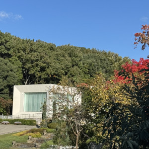 紅葉も見える外観|777652さんのガーデンテラス 東山の写真(2572367)