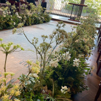 チャペルの雰囲気