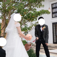 ブーケトスの代わりにテニストスをしました。