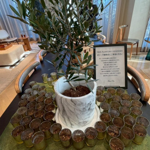 樹木の儀|777758さんのキンプトン新宿東京の写真(2572820)