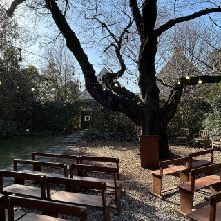 2月中頃に下見したときの写真です。