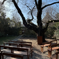 2月中頃に下見したときの写真です。