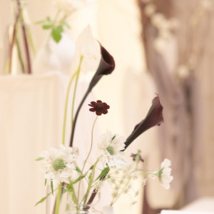 高砂|777922さんの覚王山ル・アンジェ教会の写真(2573449)