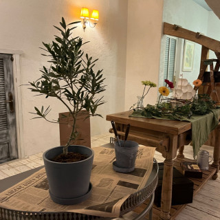 ウェルカムスペース