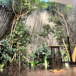 本物の木々が生い茂っています。