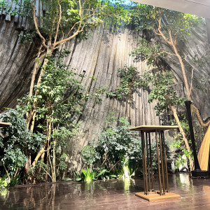 本物の木々が生い茂っています。|778134さんのクラシカ表参道/別邸KEYAKIの写真(2583239)