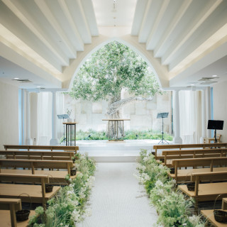 挙式会場、木が素敵