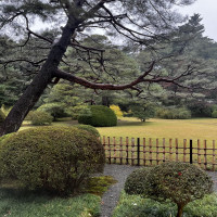 明治神宮の披露宴会場のお庭