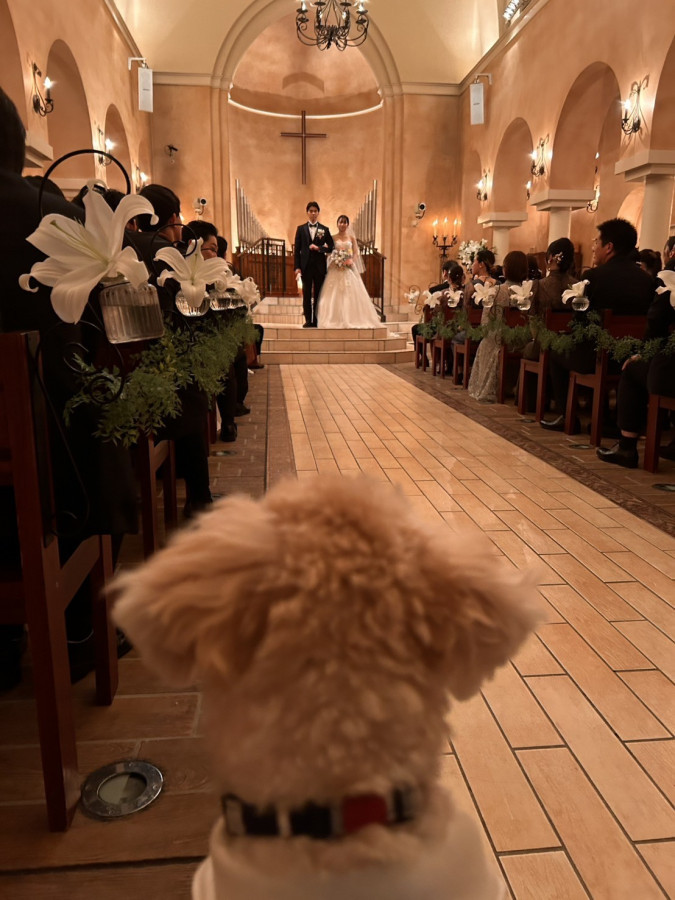 クチコミ導線画像2079251